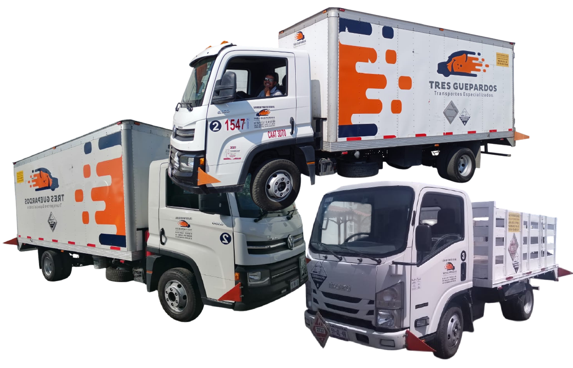 Unidad CAMIONETAS (3.5 / 5 TON) Y TORTON de Transportes Tres Guepardos